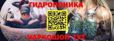 ешки Обнинск