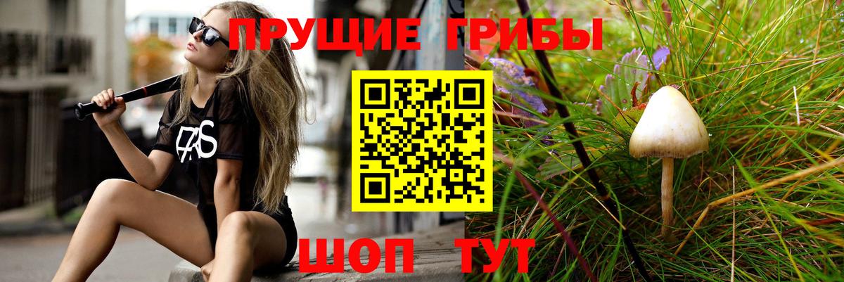 Псилоцибиновые грибы прущие грибы Россошь